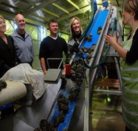 Eyre Peninsula's Seafood Trail - Accommodation in Brisbane