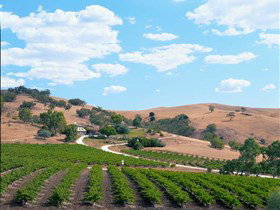 Bethany Wines - Accommodation in Brisbane 0