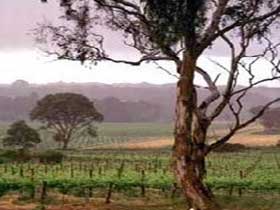  Accommodation in Brisbane