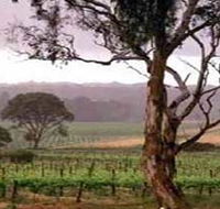 Yangarra Estate Vineyard - Accommodation in Brisbane