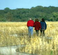 Onkaparinga River Recreation Park - Accommodation in Brisbane