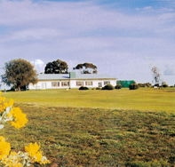 Lucindale Country Club - Accommodation in Brisbane