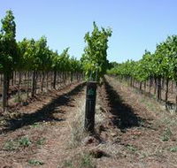 Temple Bruer Winery - Accommodation in Brisbane