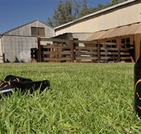 Wilkadene Woolshed Brewery - Accommodation in Brisbane