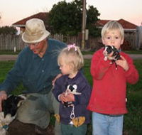 Orrie Cowie Merino and Poll Merino Stud - Accommodation in Brisbane