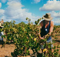 Torbreck Vintners - Accommodation in Brisbane