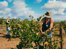 Torbreck Vintners - Accommodation in Brisbane 0