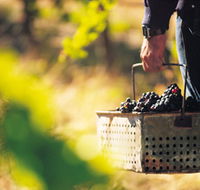 Burge Family Winemakers - Accommodation in Brisbane