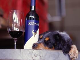 Koonara Wines - Accommodation in Brisbane 0