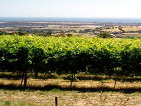 Braydun Hill Vineyard - Accommodation in Brisbane 0