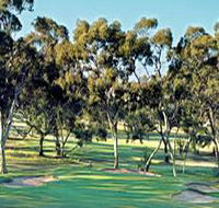 Tanunda Pines Golf Club - Accommodation in Brisbane
