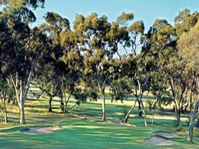 Tanunda Pines Golf Club - Accommodation in Brisbane 0