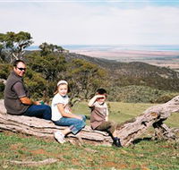 Bridle Track - Accommodation in Brisbane