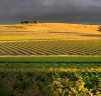 Kellermeister Wines - Accommodation in Brisbane