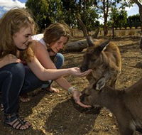 Kangaroo Island Wildlife Park - Accommodation in Brisbane
