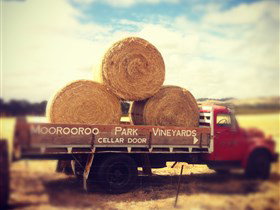 Moorooroo Park Vineyards - Accommodation in Brisbane 0