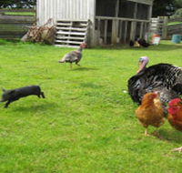 Echo Farm - Accommodation in Brisbane