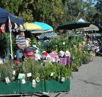 Meadows Monthly Market - Accommodation in Brisbane