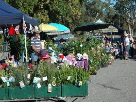 Meadows Monthly Market - Accommodation in Brisbane 0