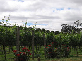  Accommodation in Brisbane
