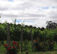Manyara Vineyard - Accommodation in Brisbane