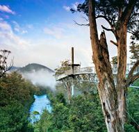 Tahune Adventures Tasmania - Accommodation in Brisbane