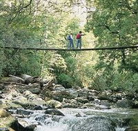 Arve Forest Drive - Accommodation in Brisbane