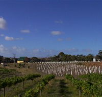 Deep Creek Wines and Alpacas - Accommodation in Brisbane