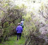Jack And Hilda McArthur Walk - Accommodation in Brisbane