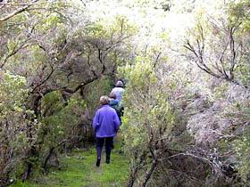 Jack And Hilda McArthur Walk - Accommodation in Brisbane 0