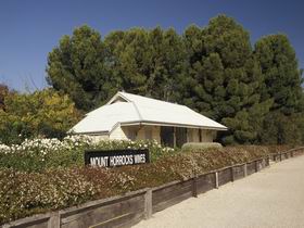 Mount Horrocks Wines And The Station Cafe - Accommodation in Brisbane 0