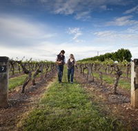 Coonawarra Wineries Walking Trail - Accommodation in Brisbane
