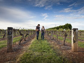 Coonawarra Wineries Walking Trail - Accommodation in Brisbane 0