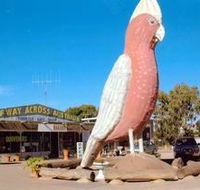 The Big Galah - Accommodation in Brisbane