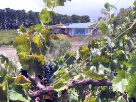 Zimmermann Wine - Accommodation in Brisbane 0