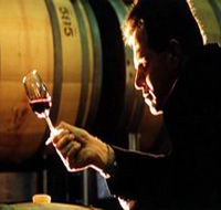 Salena Estate Wines - Accommodation in Brisbane