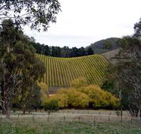 Mt Bera Vineyards - Accommodation in Brisbane