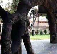 Old Gum Tree - Accommodation in Brisbane