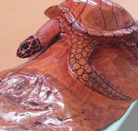 Ants Redgum Gallery - Accommodation in Brisbane