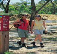 Riesling Trail - Accommodation in Brisbane