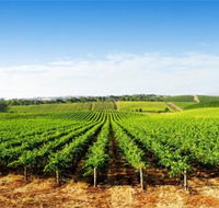 Aldinga Bay Winery - Accommodation in Brisbane