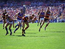 AAMI Stadium Tours - Accommodation in Brisbane 0