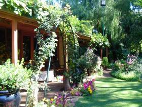 Rainforest Retreat - Accommodation in Brisbane 0