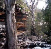 Mount Remarkable National Park - Accommodation in Brisbane