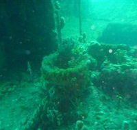 Wallaroo Scuba Club - Accommodation in Brisbane