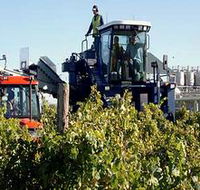 Ballast Stone Estate Wines Pty Ltd - Accommodation in Brisbane