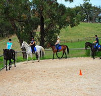 Megan Jones Riding School and Trail Rides - Accommodation in Brisbane