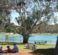 Naracoorte Nature Park and Swimming Lake - Accommodation in Brisbane