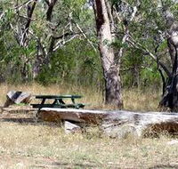 Penola Conservation Park - Accommodation in Brisbane