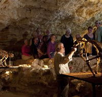 Naracoorte Caves National Park - Accommodation in Brisbane